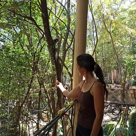 Casa Da Mata Descanso E Sossego Na Natureza Ibicoara Eksteriør bilde