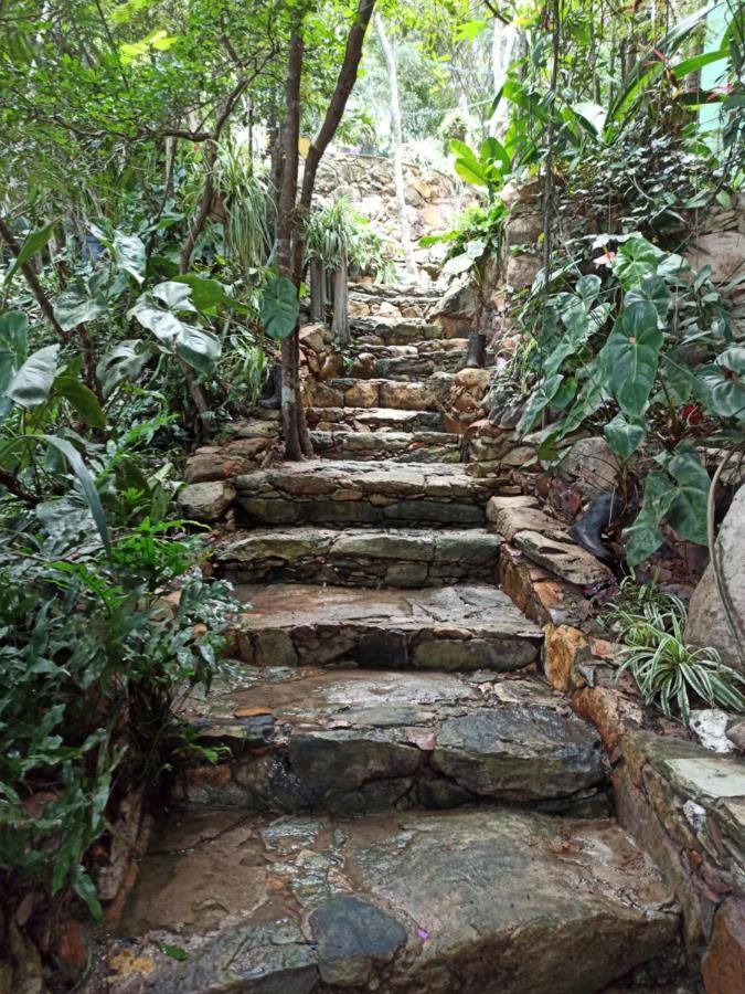 Casa Da Mata Descanso E Sossego Na Natureza Ibicoara Eksteriør bilde