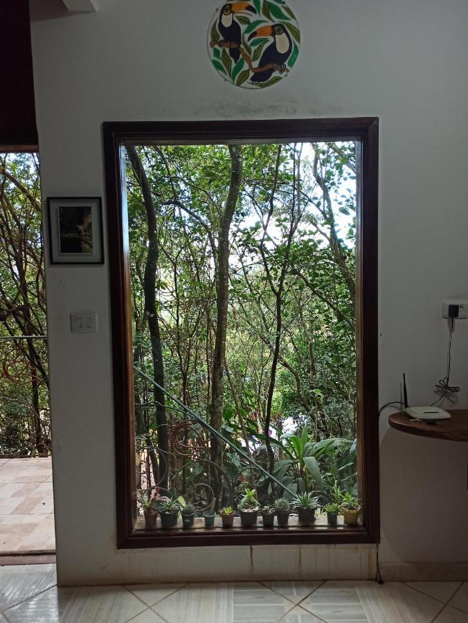 Casa Da Mata Descanso E Sossego Na Natureza Ibicoara Eksteriør bilde