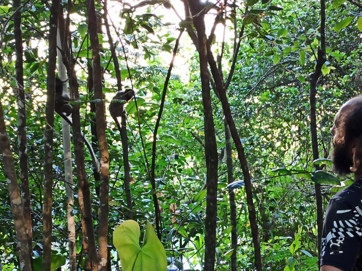 Casa Da Mata Descanso E Sossego Na Natureza Ibicoara Eksteriør bilde