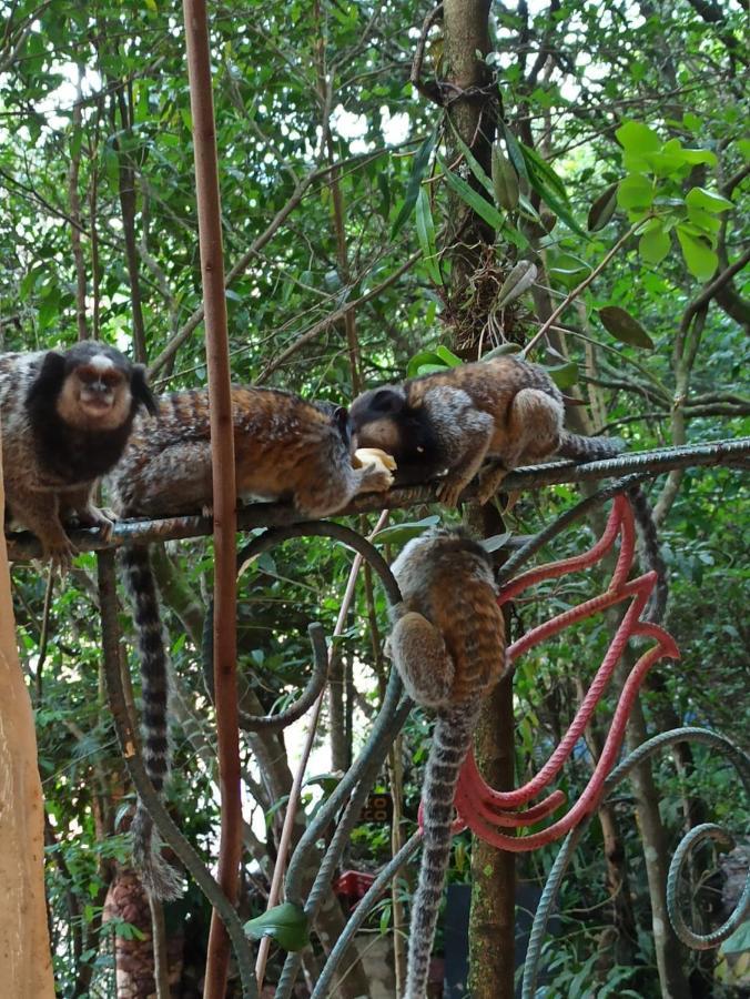 Casa Da Mata Descanso E Sossego Na Natureza Ibicoara Eksteriør bilde