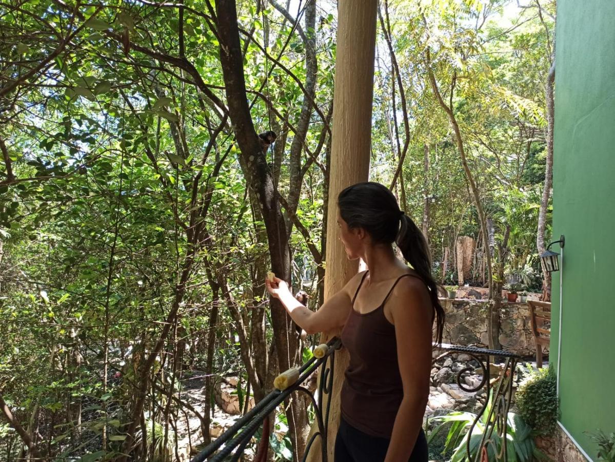 Casa Da Mata Descanso E Sossego Na Natureza Ibicoara Eksteriør bilde